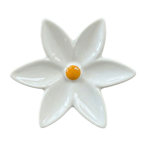 Fiore di Ninfea Appendino Bianco